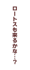 ロートスも来るかな…？