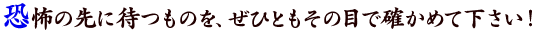 恐怖の先に待つものを、ぜひともその目で確かめて下さい！