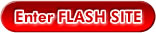 Enter FLASH SITE