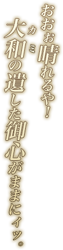 おおぉ晴れるや！　大和（カミ）の遺した御心がままにィッ。