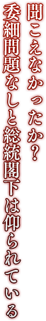 「聞こえなかったか？ 委細問題なしと総統閣下は仰られている」