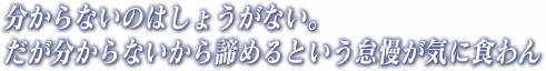 分からないのはしょうがない。だが分からないから諦めるという怠慢が気に食わん