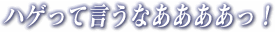 ハゲって言うなああああっ！